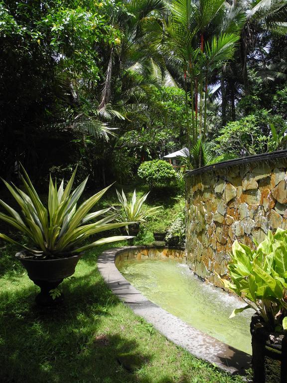 Villa Jineng Ubud By Basma Groups Exterior foto